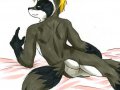 Show-Off.jpg